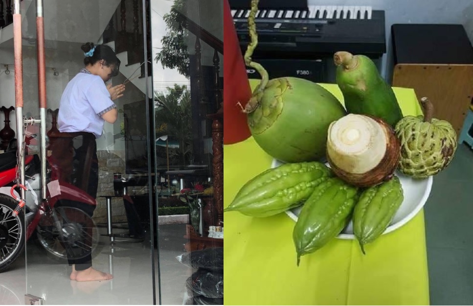 Cầu Dừa Đủ Qua Môn: Bí Quyết Thành Công Gallery 2