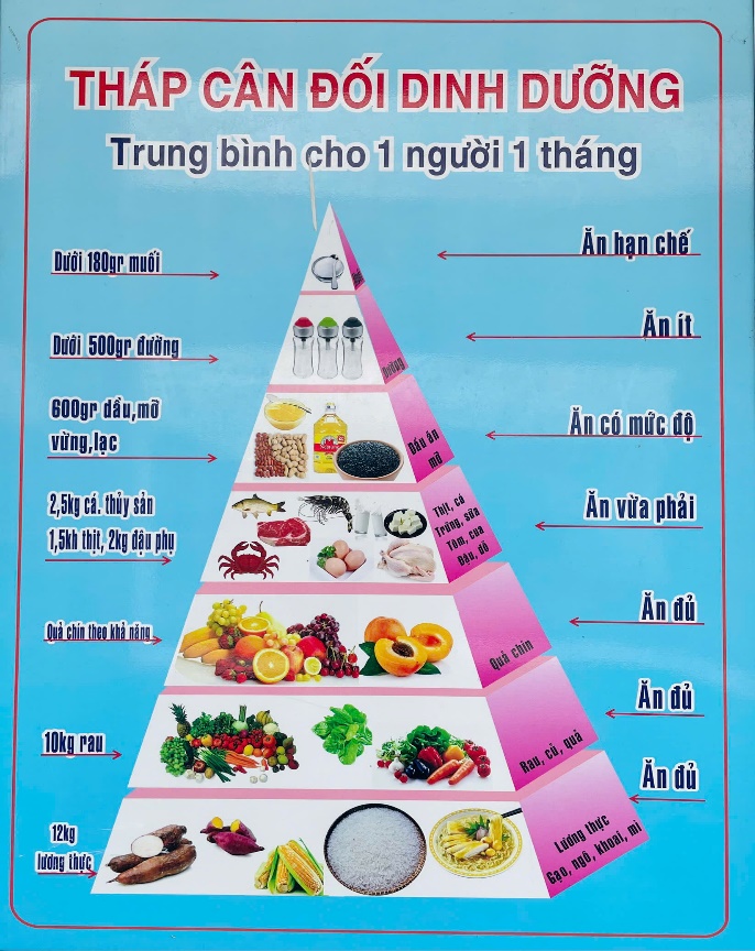 Dinh dưỡng mới nhất 2024: Những xu hướng và kiến thức cần biết Gallery 2