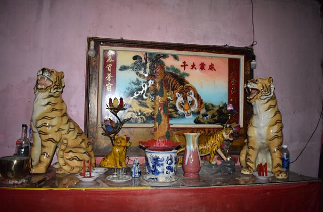Có Nên Thờ Ông Hổ Trong Nhà? Gallery 1