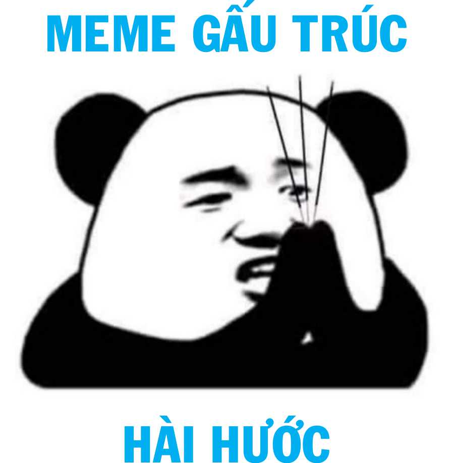 Meme Gấu: Nguồn gốc, ý nghĩa và những meme hài hước nhất Gallery 2