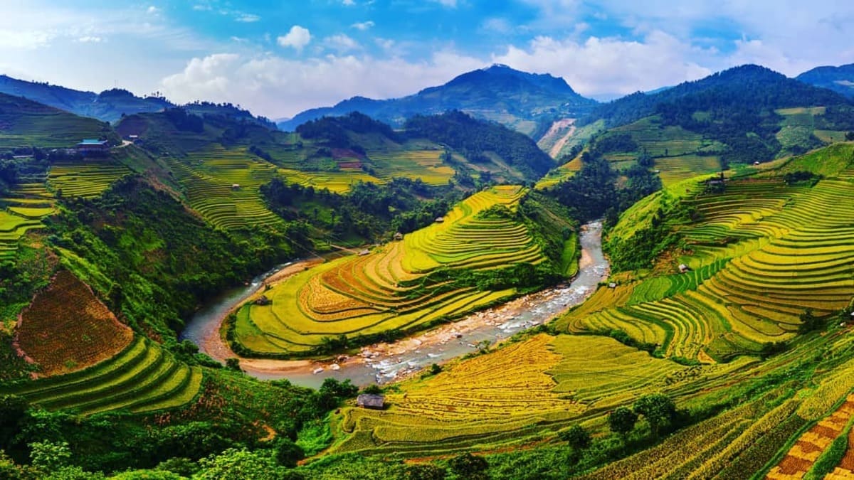 Ngây Thơ Miền Bắc Gallery 1