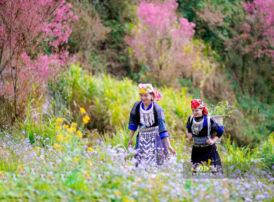 Cảnh Sắc Mùa Xuân Vùng Trung Du Gallery 1