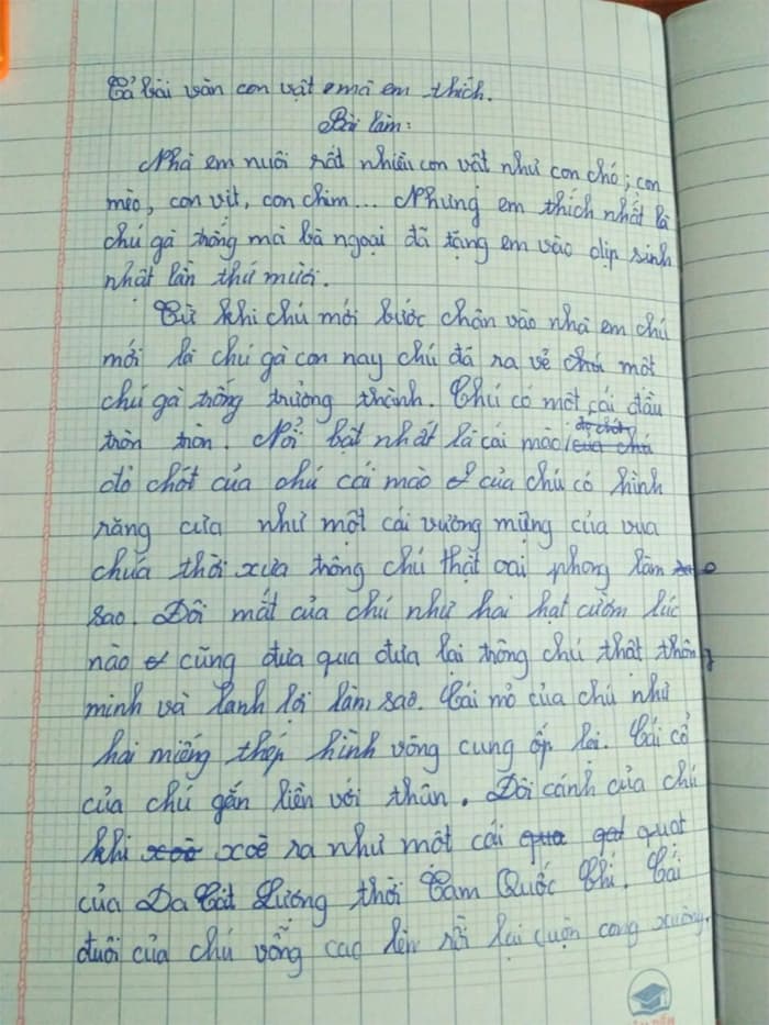 Miêu tả một con vật mà em đã chăm sóc và gắn bó Gallery 1