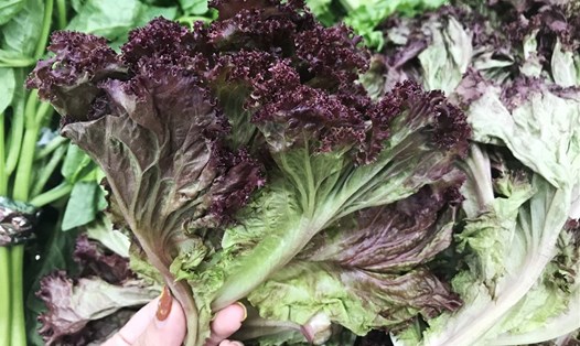 Những người không nên ăn rau xà lách