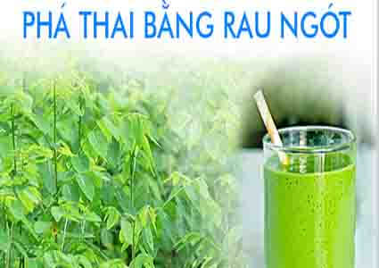Phá thai bằng rau răm Gallery 1