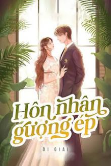 Hôn Nhân Gượng Ép Gallery 1