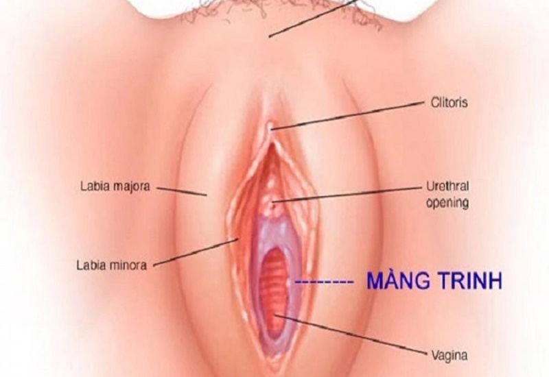 Không rách màng trinh có thai không? Gallery 1