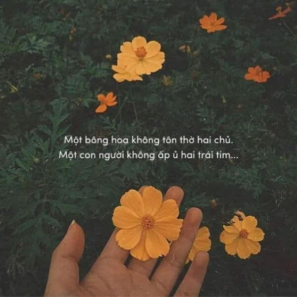 Tuyệt chiêu thả thính chất lượng - Hướng dẫn chi tiết Gallery 2
