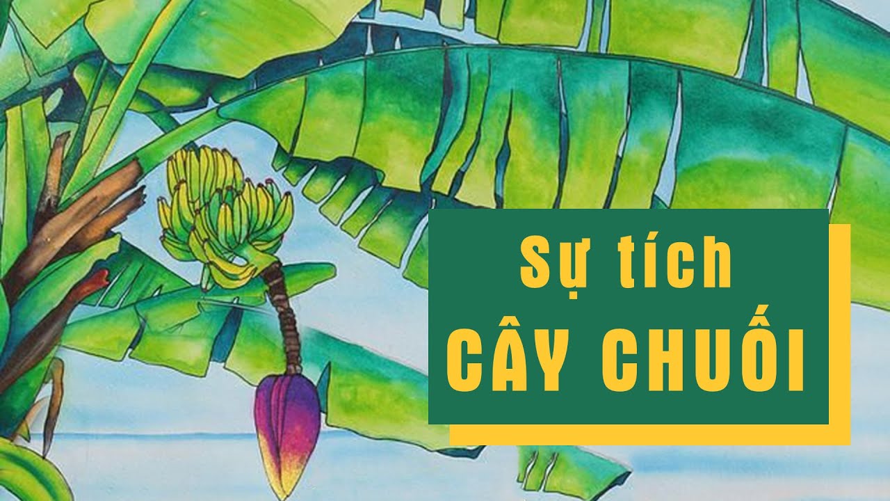 Sự tích cây chuối: Nguồn gốc và ý nghĩa Gallery 1