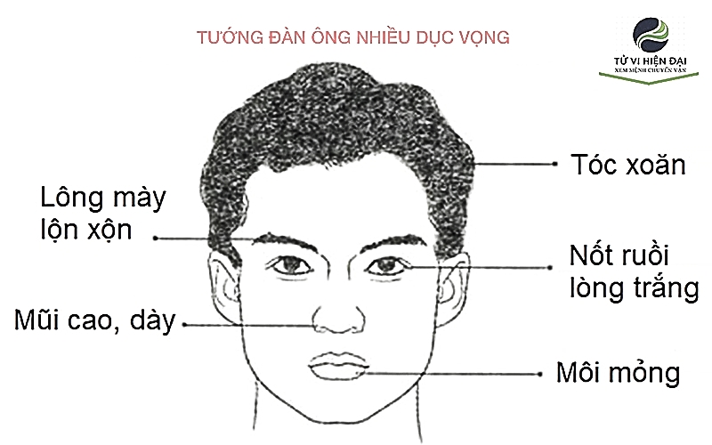 Tướng Mặt Người Dâm Dê Đê Tiện Gallery 1