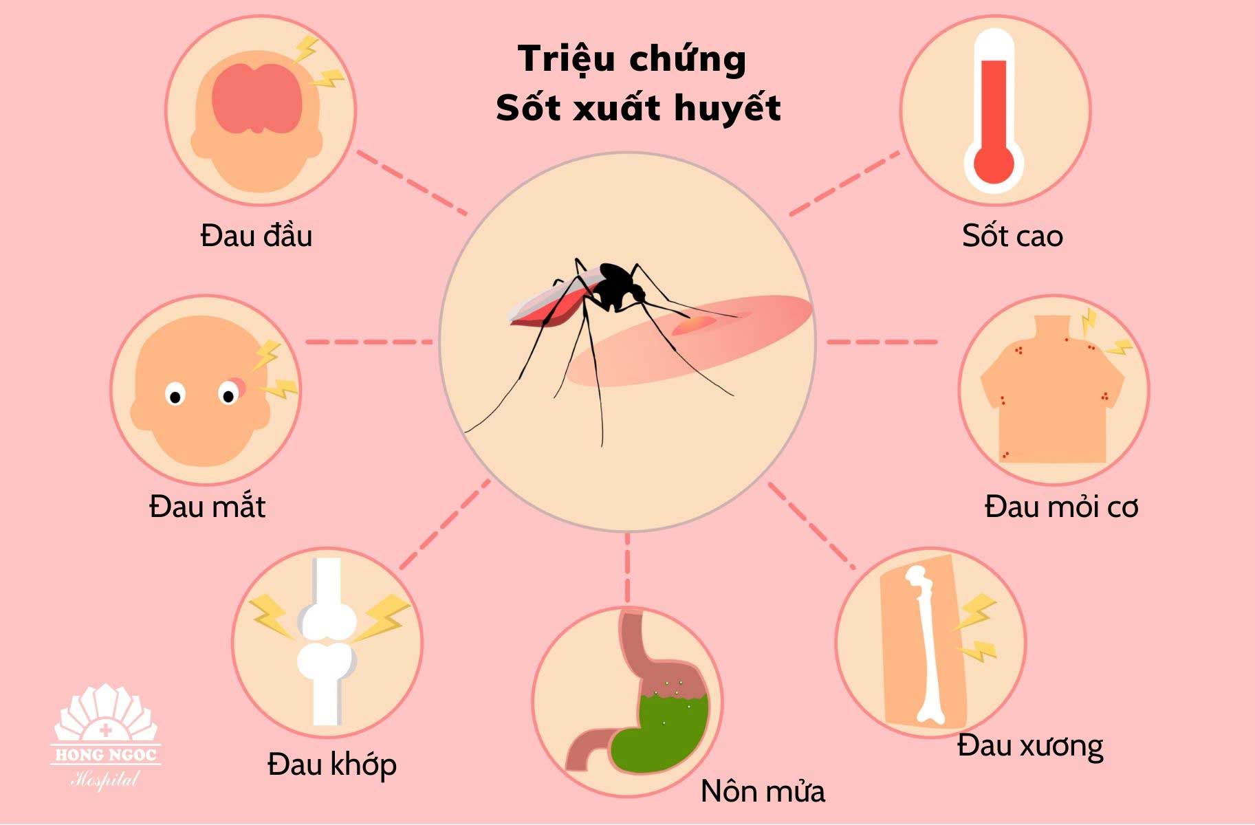 Điều nào sau đây sai khi nói về các đặc điểm của virus? Gallery 2