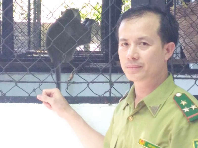 Có Nên Nuôi Khỉ Trong Nhà Không? Gallery 1