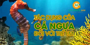 Tác dụng của cá ngựa đối với trẻ em Gallery 2