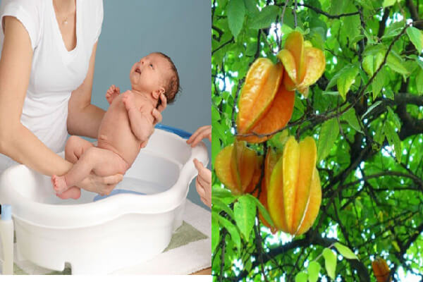 La khế ngọt có tắm được không? Gallery 1
