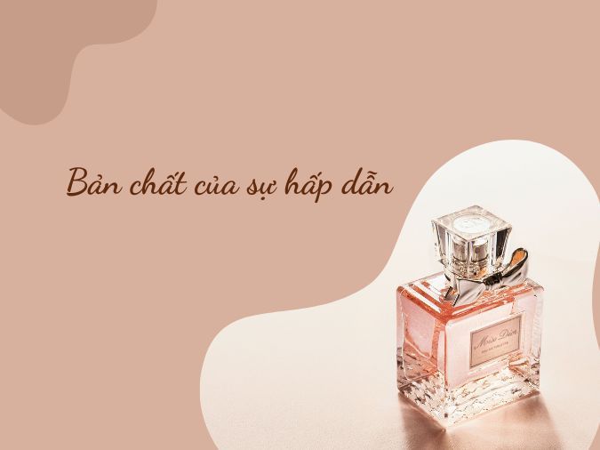 Slogan Hay Về Nước Hoa: Thu Hút Khách Hàng Bằng Những Câu Slogan Độc Đáo Gallery 1