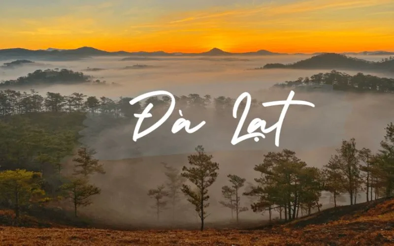 STT Đà Lạt Hài Hước: Những Câu Chuyện Cười Ra Nước Mắt Về Thành Phố Mộng Mơ Gallery 1