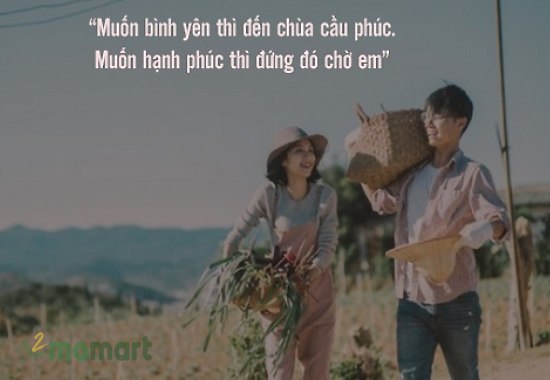 STT Đi Chùa Hài Hước: Những Câu Nói Bựa Nhất Về Cuộc Sống Tu Tĩnh Gallery 1