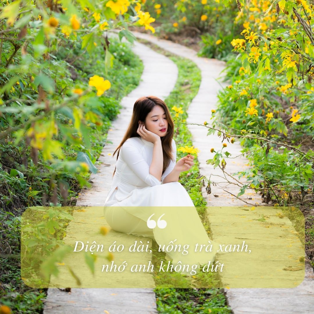 Những Status Hay Khi Đăng Ảnh Áo Dài: Thu Hút Ngàn Like Và Chia Sẻ Gallery 2