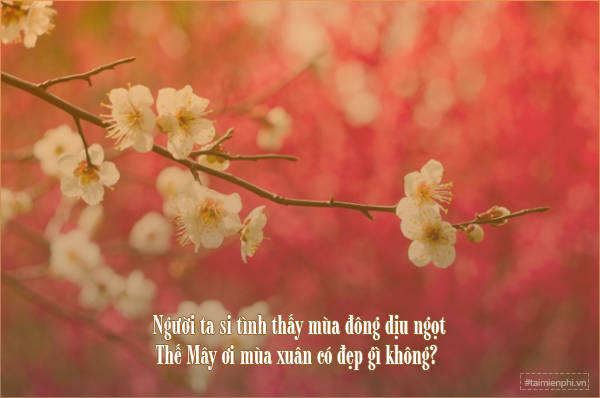 STT Mùa Xuân Thả Thính Hay Nhất - Gây Mê Cả Làng Gallery 1