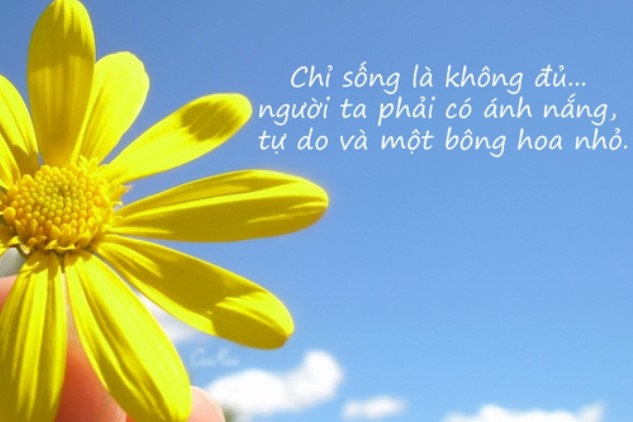Status hay về nắng: Những câu nói ý nghĩa và hình ảnh đẹp Gallery 1