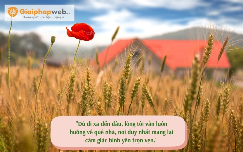 STT về quê hương đồng lúa: Những câu nói hay và ý nghĩa nhất Gallery 1