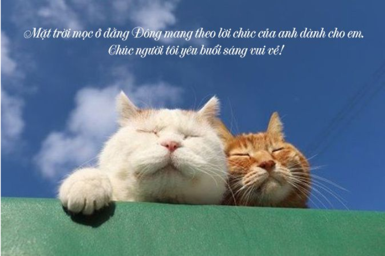 STT Thả Thính Buổi Sáng Hay Nhất - Gây Mê Liệt Ngay Từ Giấc Ngủ Gallery 2