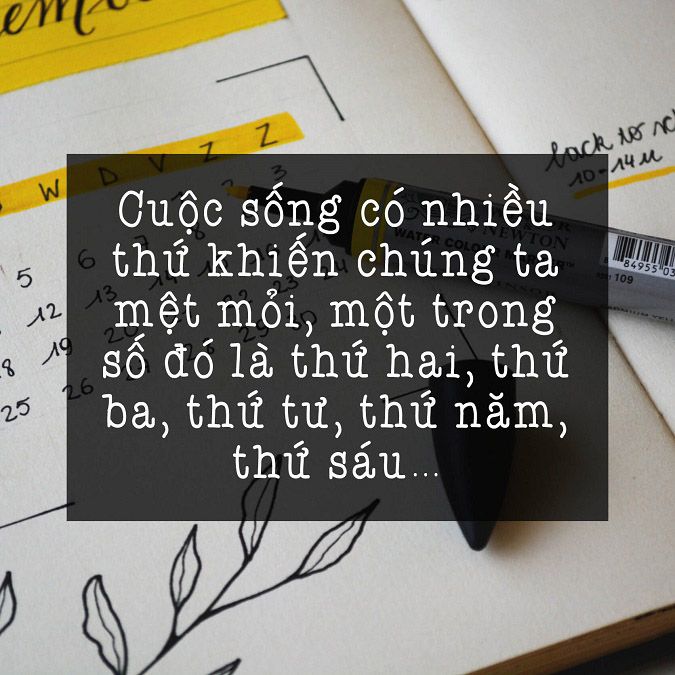 STT Cuộc Sống An Nhiên Hài Hước:  Những Câu Nói Chất Lừ Về Cuộc Sống Thảnh Thơi Gallery 1