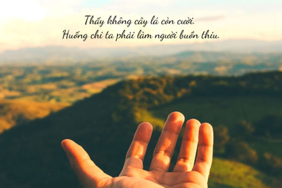 STT Bình An - Lời Chúc Bình Yên Và Hạnh Phúc Gallery 1