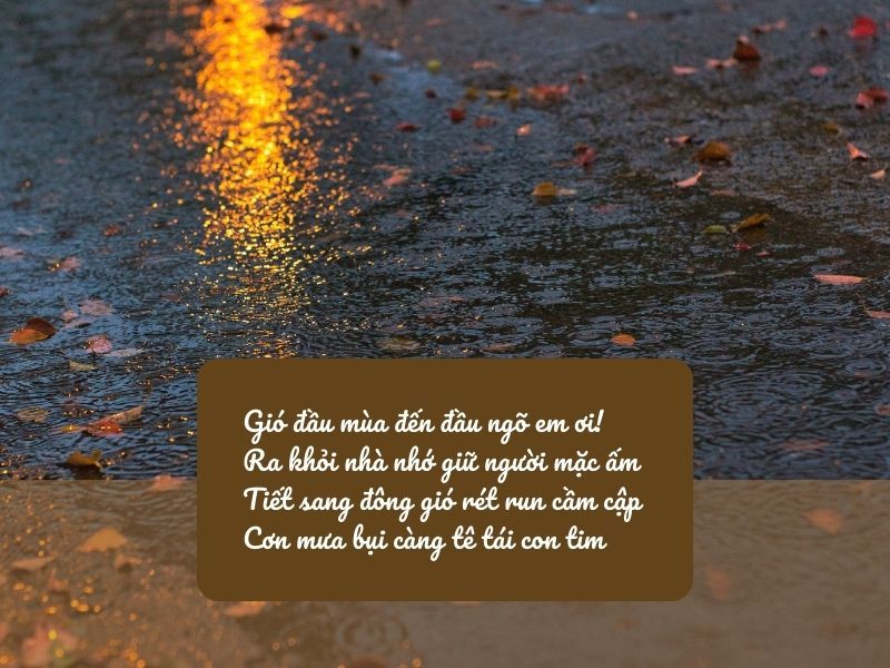 STT Gió Lạnh Đầu Mùa Gallery 1