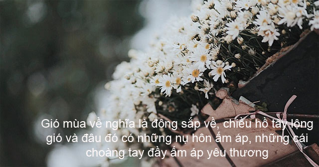 STT Gió Lạnh Đầu Mùa Gallery 2