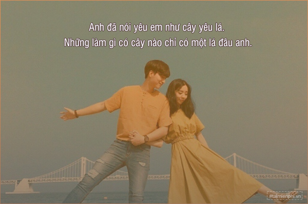 STT Hài Hước Về Tình Yêu: Cười Ngất Ngây Với Những Câu Nói Bất Hủ Gallery 2
