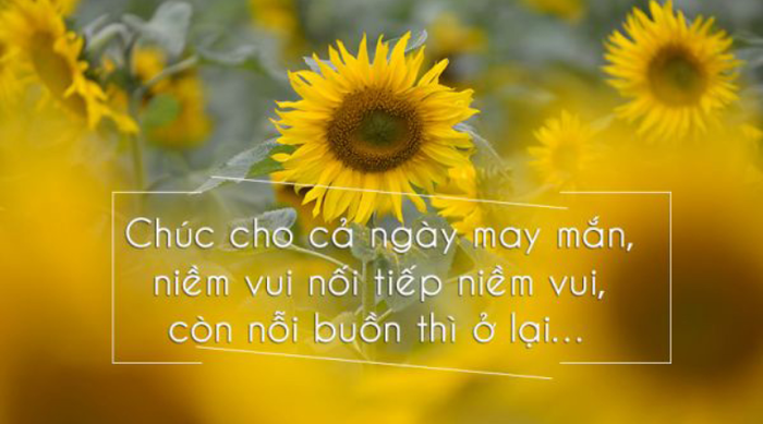 STT Năng Lượng Ngày Mới: Khơi Nguồn Sức Mạnh Cho Ngày Hoàn Hảo Gallery 1