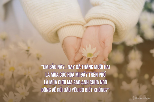 STT Tháng 12: Những Câu Nói Hay Về Mùa Đông Và Kết Thúc Năm Gallery 1