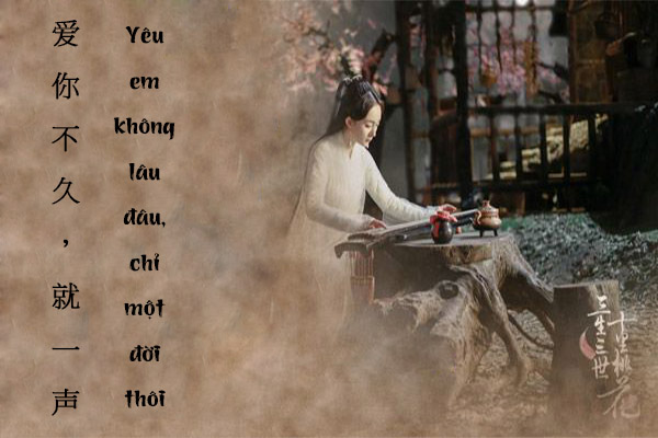STT Tiếng Trung Về Tình Yêu: Tuyển Tập Những Câu Nói Hay Nhất Gallery 1