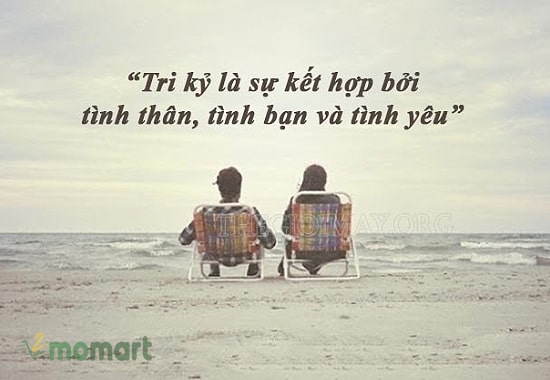 STT về tình bạn tri kỷ ngắn gọn