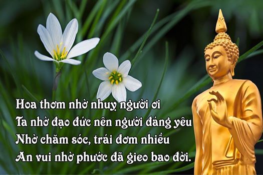 Hạnh phúc đâu dễ kiếm tìm Gallery 1