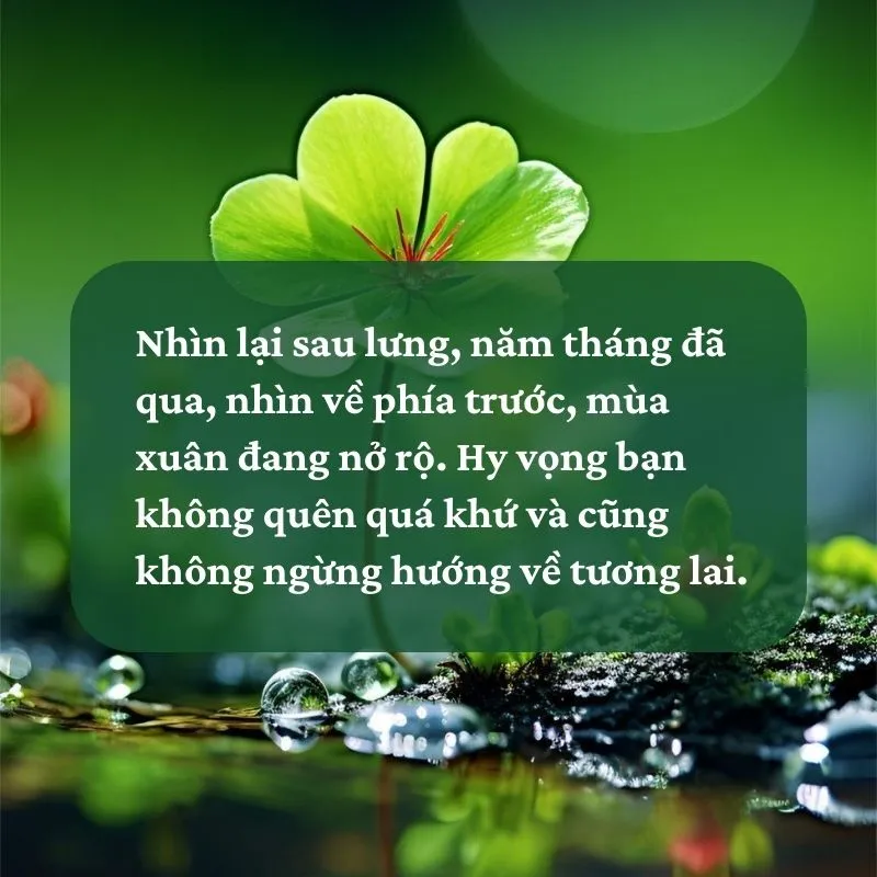 Nhìn lại một năm đã qua: Thành tựu, Thử thách và Hướng đi tương lai Gallery 1