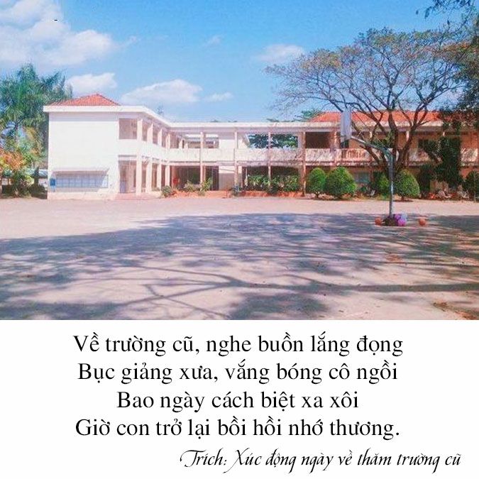Thăm Trường Cũ: Gợi Lại Kỷ Niệm Tuổi Học Trò Gallery 1