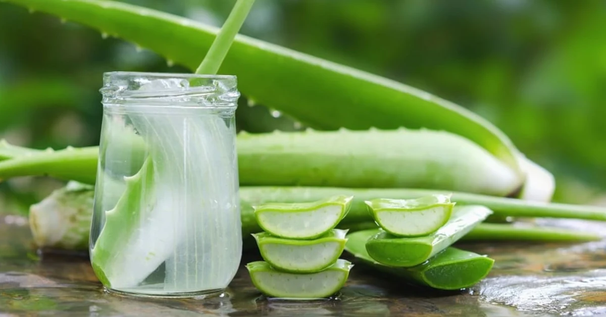 Nha đam kỵ với thực phẩm nào? Gallery 1