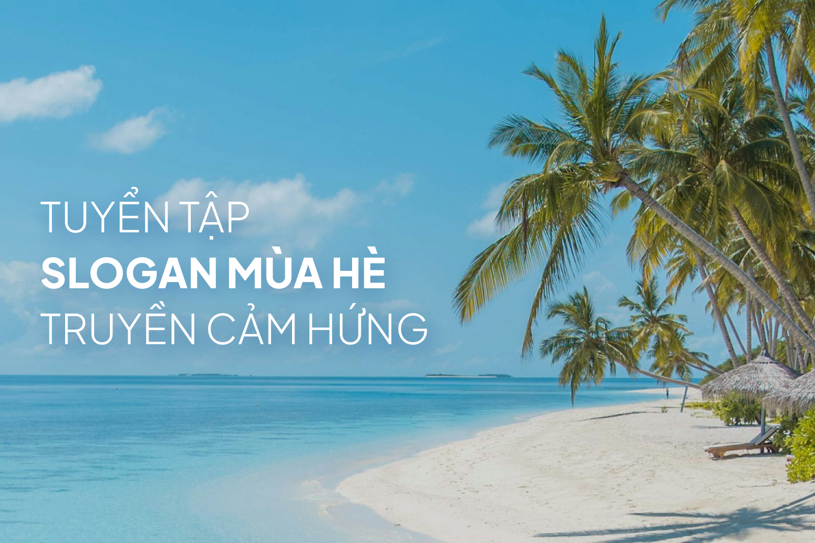 Slogan Mùa Hè Thu Hút Khách Hàng Gallery 2