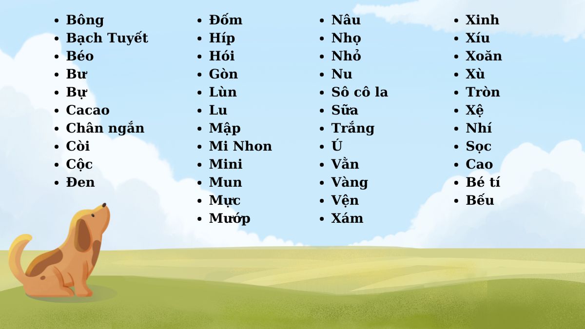 Cách đặt tên cho chó hay và ý nghĩa Gallery 1