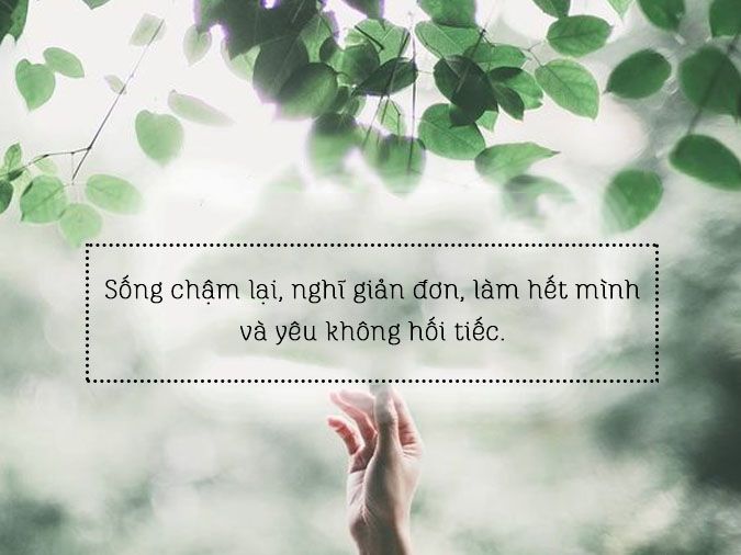 Tiểu Sử Hay Về Cuộc Sống: Những Câu Chuyện Đáng Ngưỡng Mộ Gallery 1