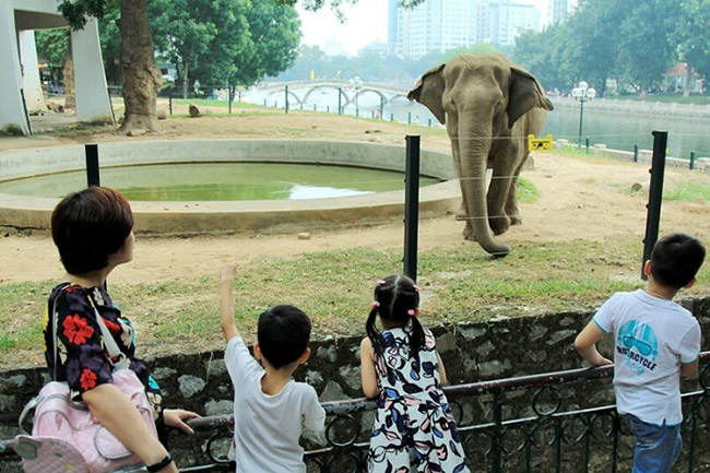 Công Viên Sở Thú: Khám Phá Thế Giới Động Vật Kỳ Diệu Gallery 1