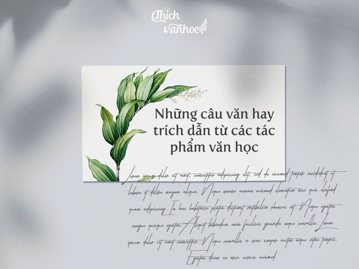Trích dẫn hay trong tiểu thuyết kinh điển: Lời khuyên, triết lý và cảm hứng Gallery 1