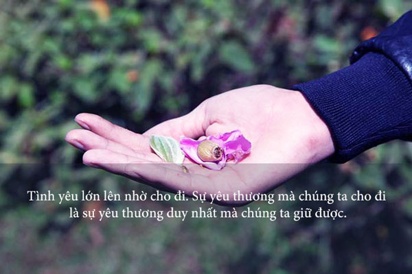 Trích dẫn hay về tình yêu thương Gallery 2