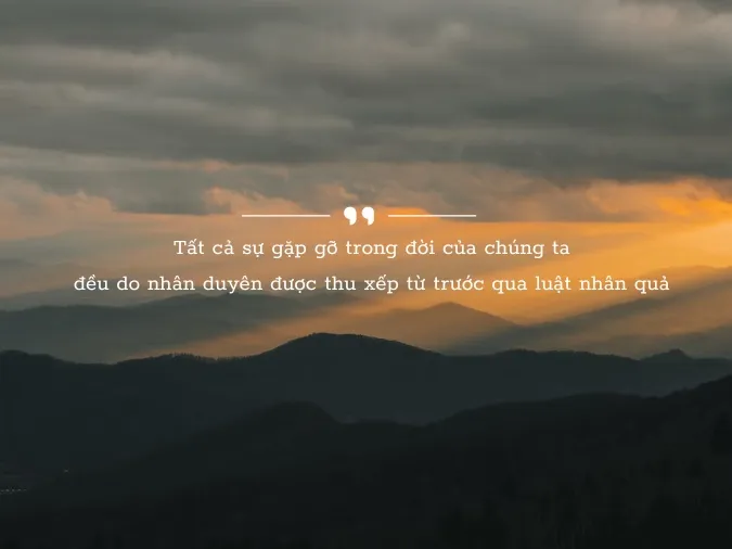 Trích dẫn hay trong Muôn Kiếp Nhân Sinh Gallery 2