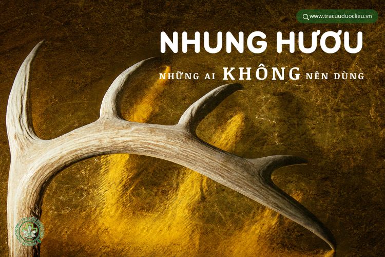 Những người không nên dùng nhung hươu Gallery 1