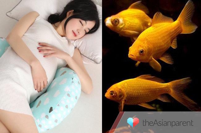 Nằm Mơ Câu Được Cá To: Điềm Báo May Mắn Hay Xui Xẻo? Gallery 2