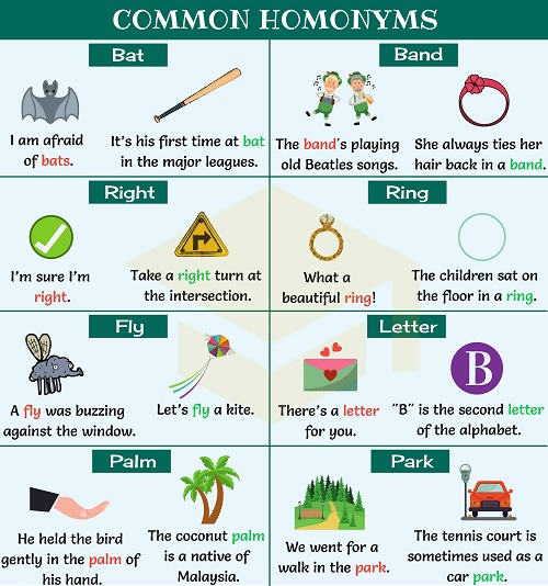 Từ đa nghĩa: Bí ẩn thú vị của ngôn ngữ Việt
