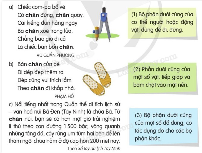 Từ đa nghĩa: Bí ẩn thú vị của ngôn ngữ Việt Gallery 2